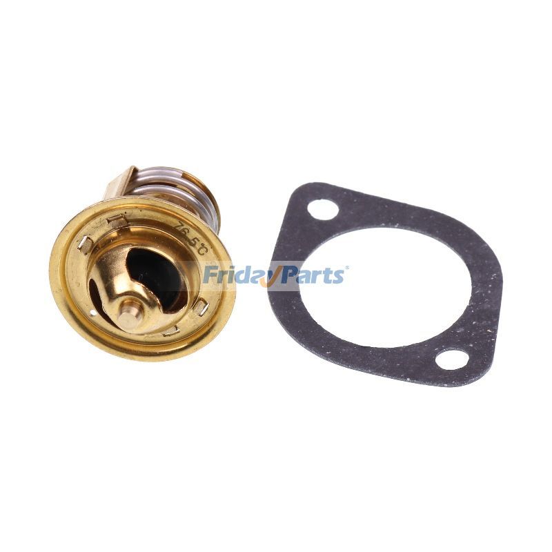 Generator Thermostat