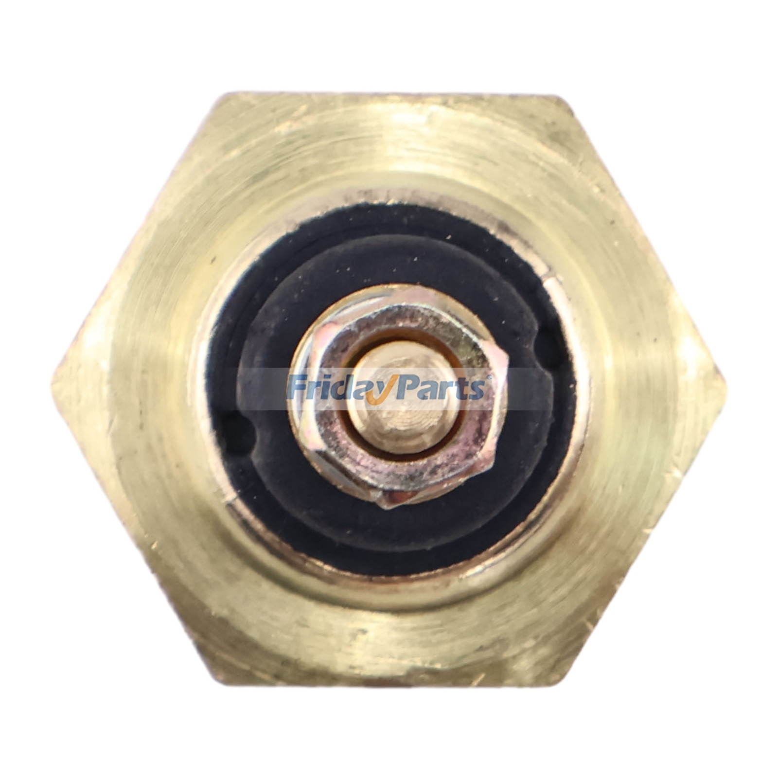  Water Temperature Sensor 