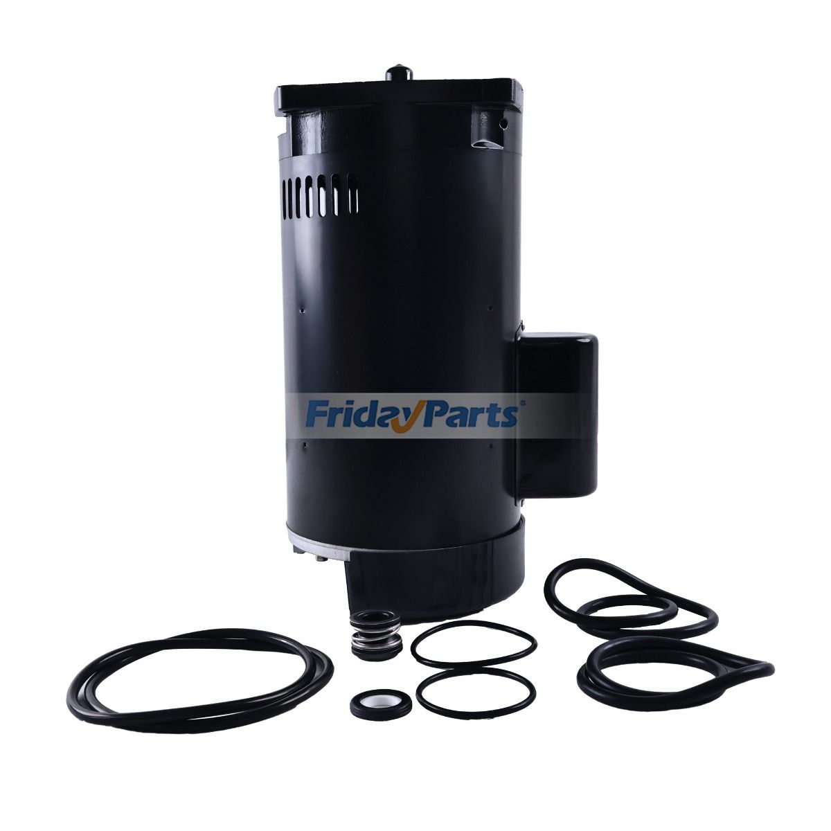 FridayParts Swimming Pool Motor