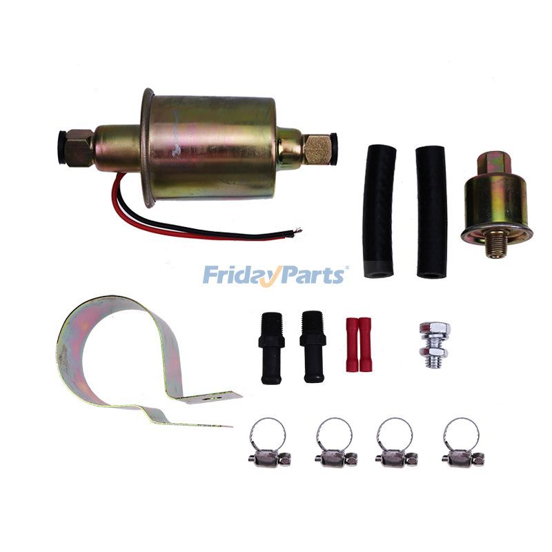 FridayParts 1 Satz Kraftstoffpumpe für Ford Dodge Mazda Subaru