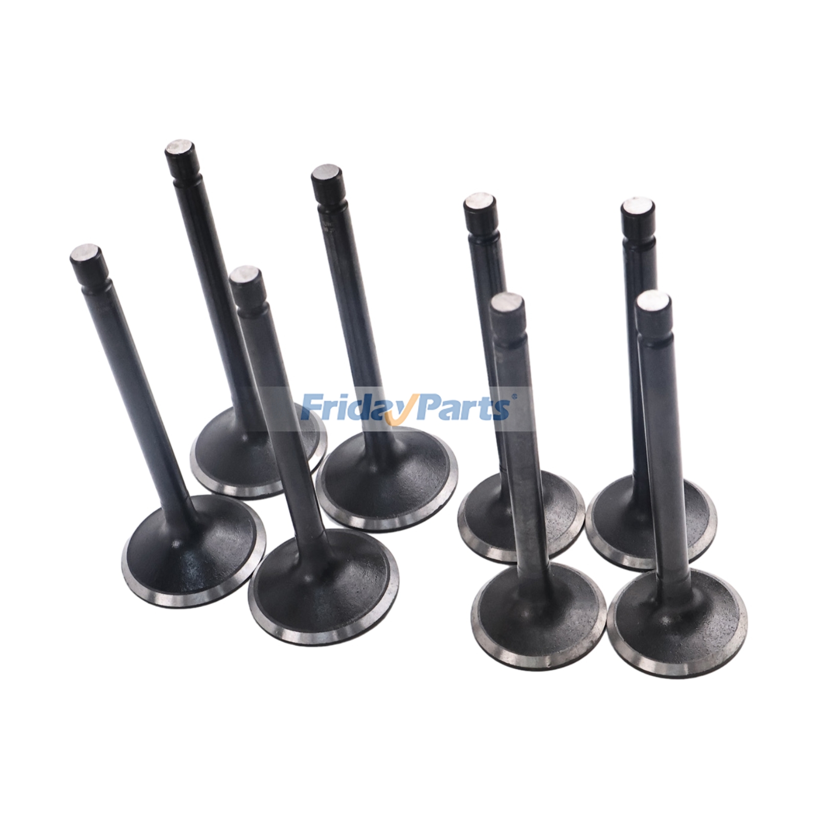 Einlass- und Auslassventile