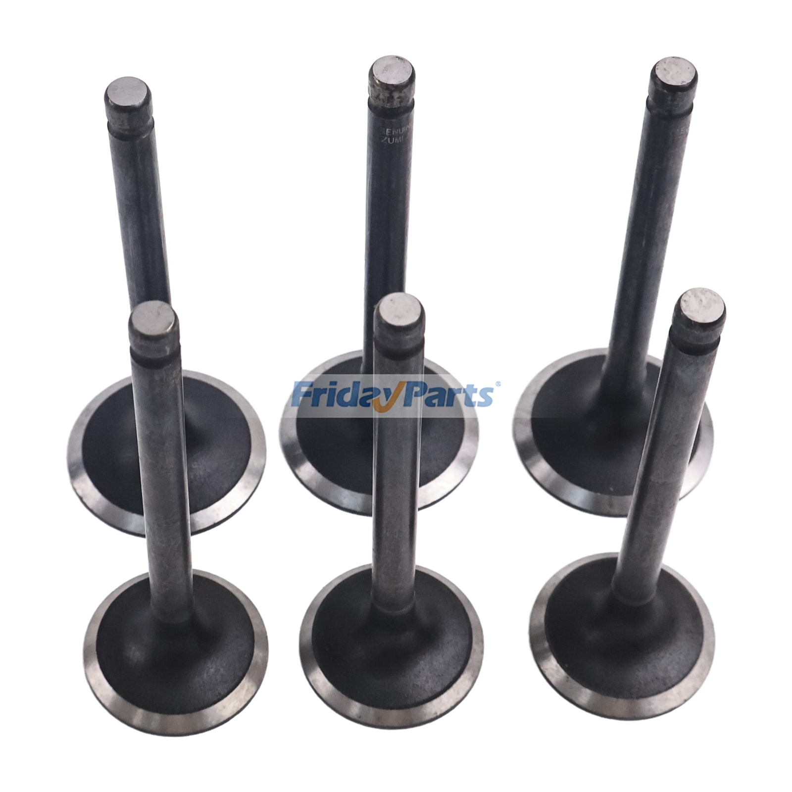  Intake & Exhaust Valves 