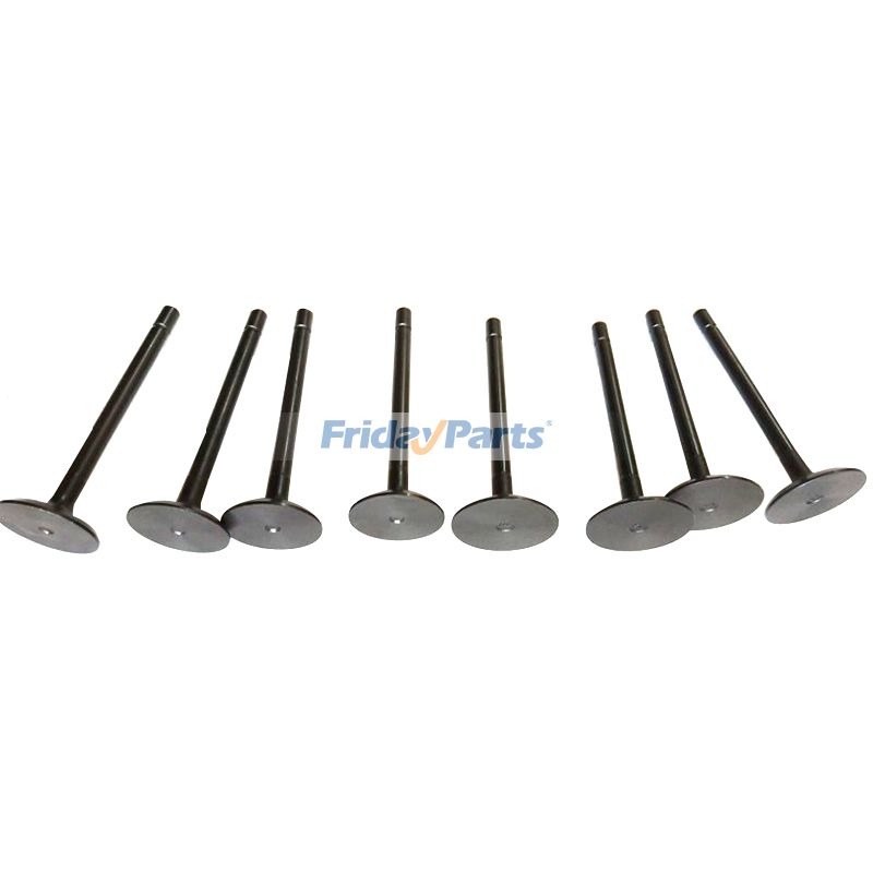 1 Satz Einlassventile und Auslassventile für Shibaura