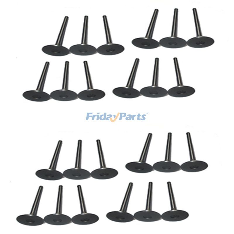 1 Satz Einlass- und Auslassventile für Komatsu S6D170B Motor PC1000-1 Bagger