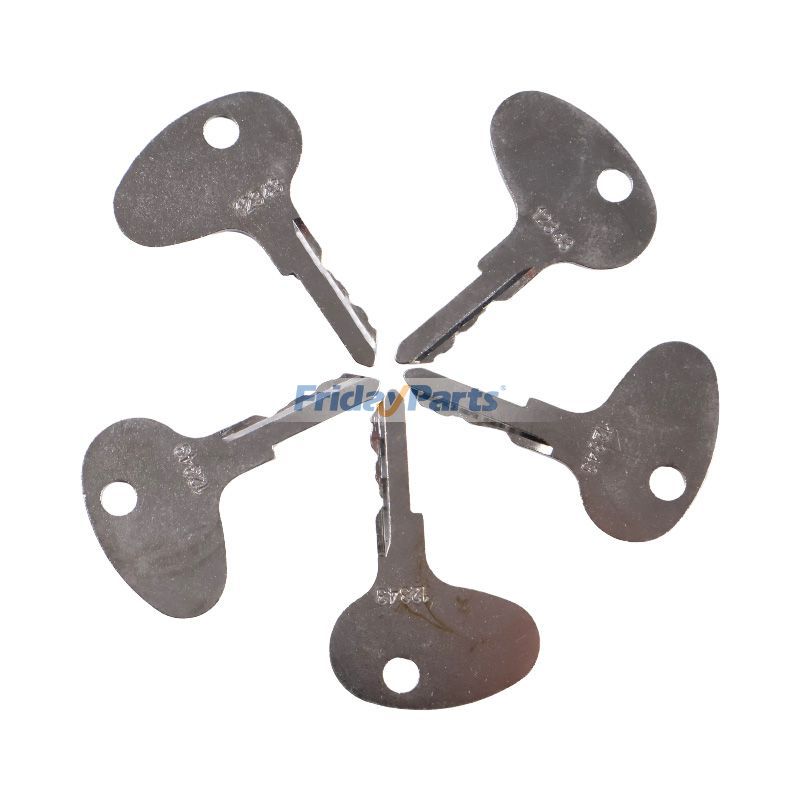 FridayParts Zündschlüssel