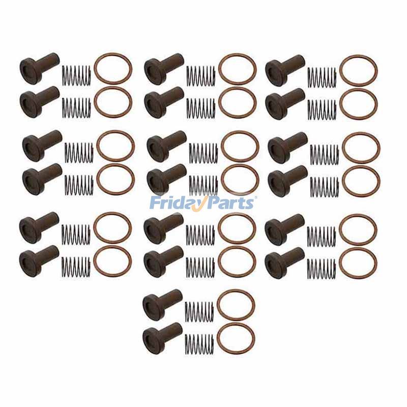 Kit de réparation de rechange Bosch 2447010011, 10 ensembles