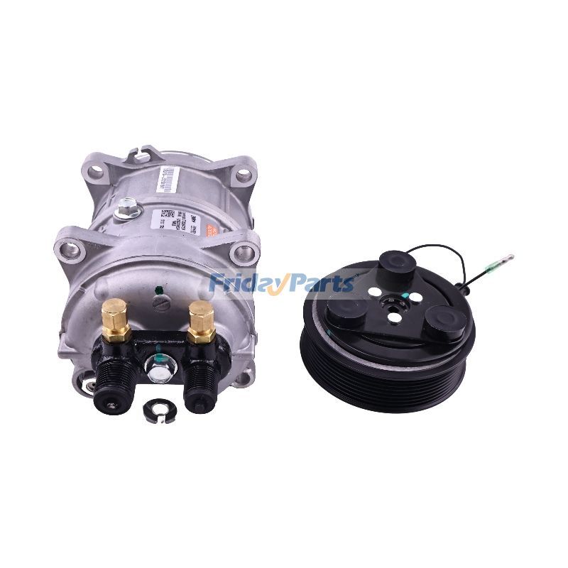 Compresor de aire acondicionado de 12 V 102-1068 107-0442 para refrigeración de transporte Thermo King Viento Xarios Zephyr Citimax de FridayParts