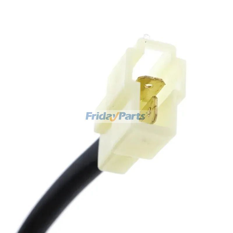 FridayParts Elektrische 12-V-Kraftstoffförderpumpe