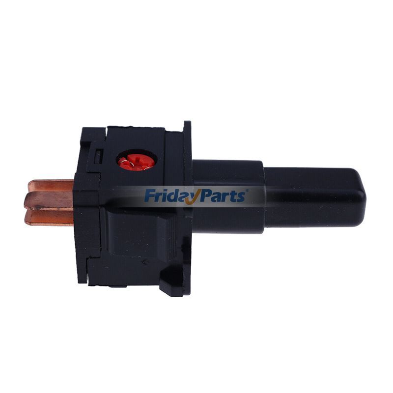 12V Push Button Switch Omega for Vehicle