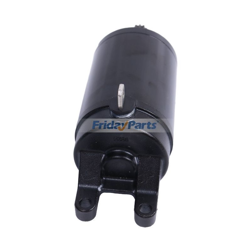 Démarreur 12V T1311111 pour Triumph Daytona 675 Street Triple RS Tiger 800pourPour AUTRE MARQUE