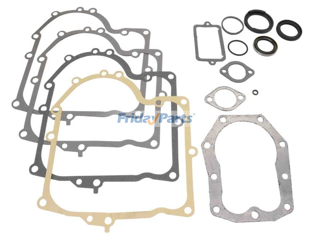 Motordichtungssatz 494241 490525 für Briggs Stratton 255702-0117-01 255707-0101-01 255707-0105-01