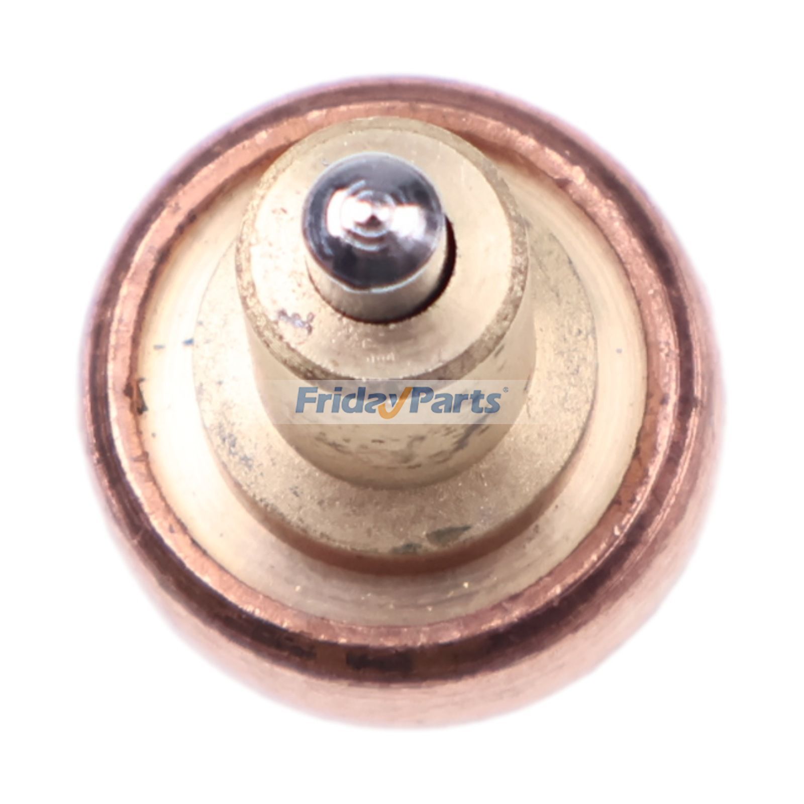  Thermostat 436195 