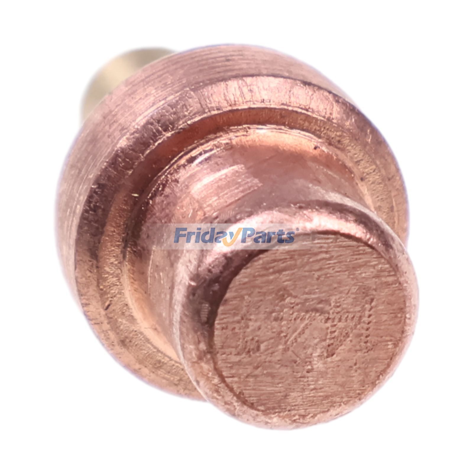 FridayParts Thermostat 436195