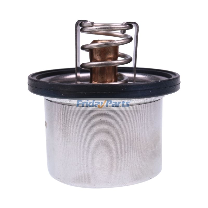 Thermostatbei FridayParts kaufen