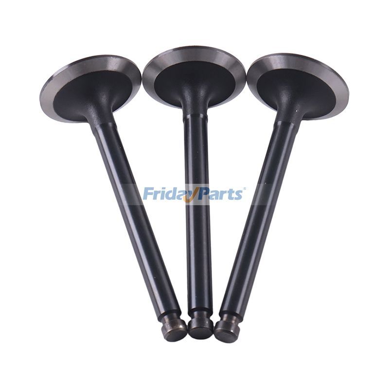 Intake Valve for Engine