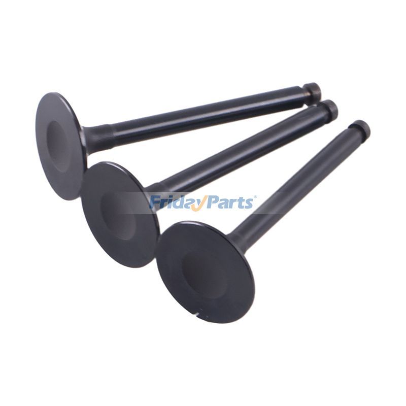 Engine Intake Valve
