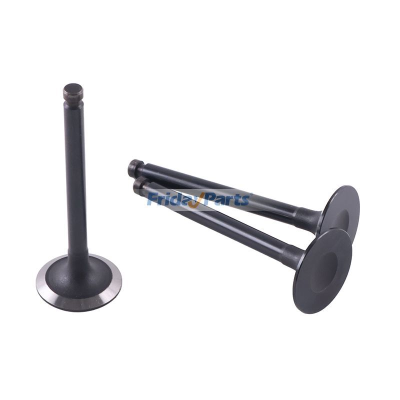 Intake Valve in Stock in China