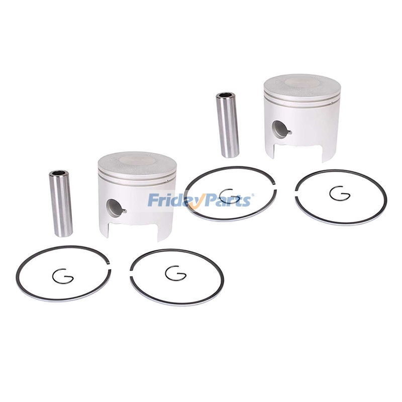 2 Cylinder Piston Kit 688-11631-03-94 for Yamaha Outboard 48HP 55HP