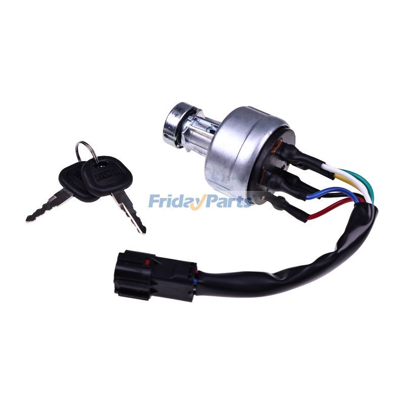 FridayParts 2 Keys Ignition Switch