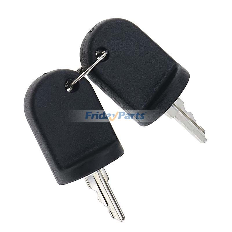 E-Z-GO用用イグニッションスイッチキー 2個 611282 605946 606993 EZGO ガス&電気 RXV 車両用