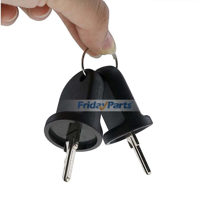 ゴルフカート EZGO ガス & 電気 RXV 用イグニッション スイッチ キー 2 個