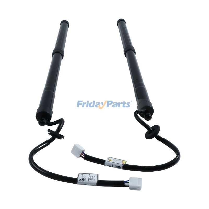 2 Stück Heckklappenheber links und rechtsFür Toyota