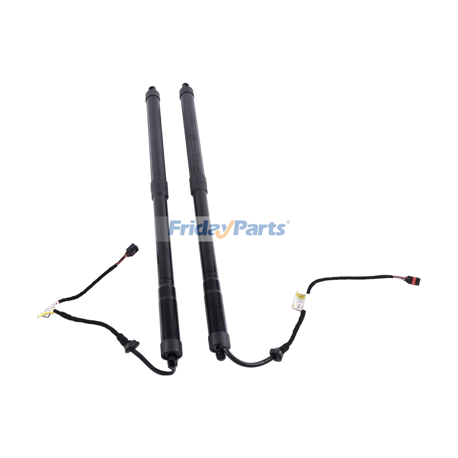 Left & Right Tailgate Lift Support for Vehicle