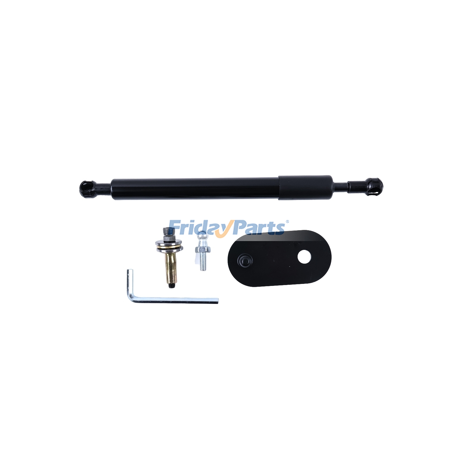 Tailgate Assist Shock Strut for Vehicle
