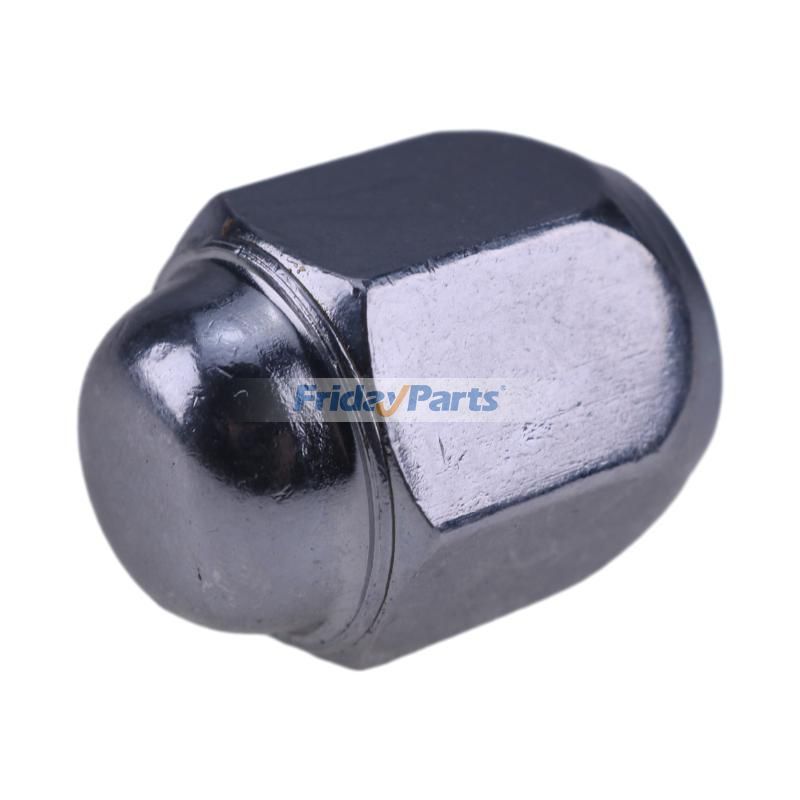 20 Pieces Wheel Nut for Vehicle