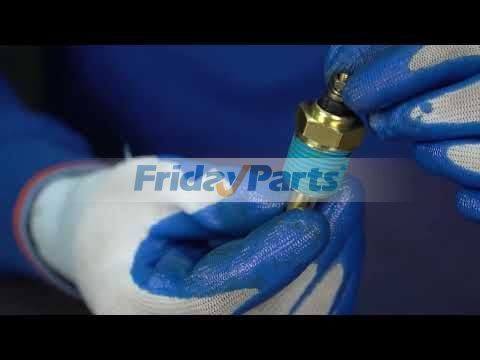 Temperatursenderbei FridayParts kaufen