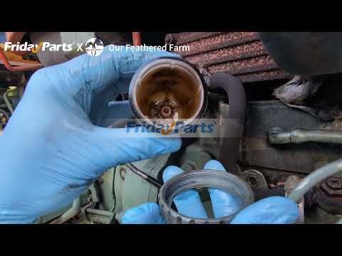  Fuel Filter Kit For YANMAR