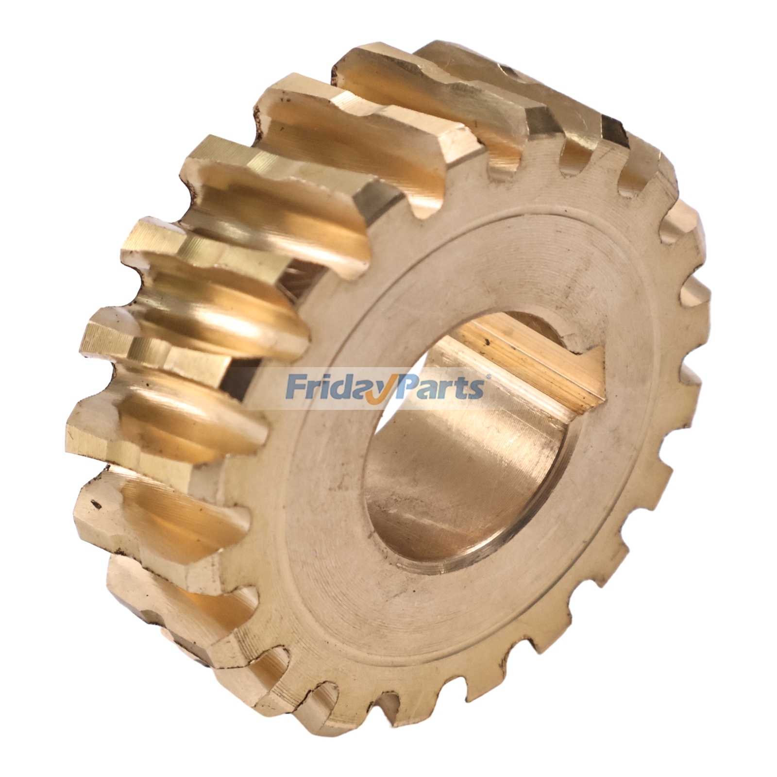 Ingranaggio a vite senza fine di FridayParts