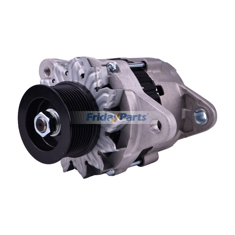 FridayParts 24V Lichtmaschine 4D102E-1