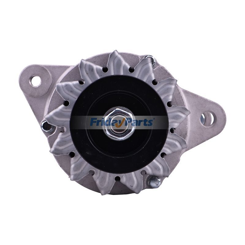 24V Lichtmaschine 4D102E-1für Bagger