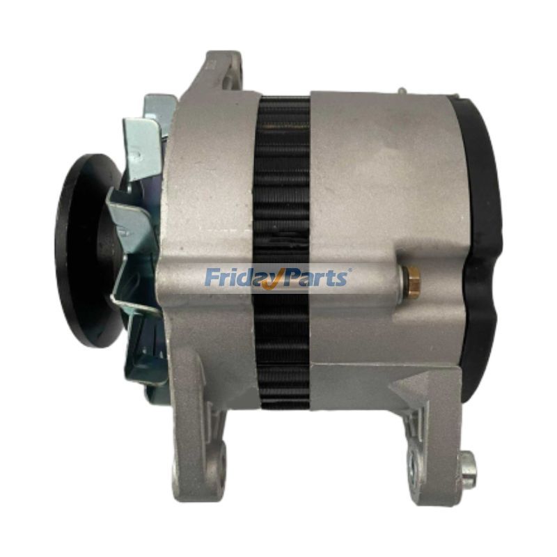 Alternateur sans balais 28 V 750 W JFWZ27 pour moteur Yangdong Y4110ZLD Y4100G Y4100D Y4102G Y4102D Y4100Q