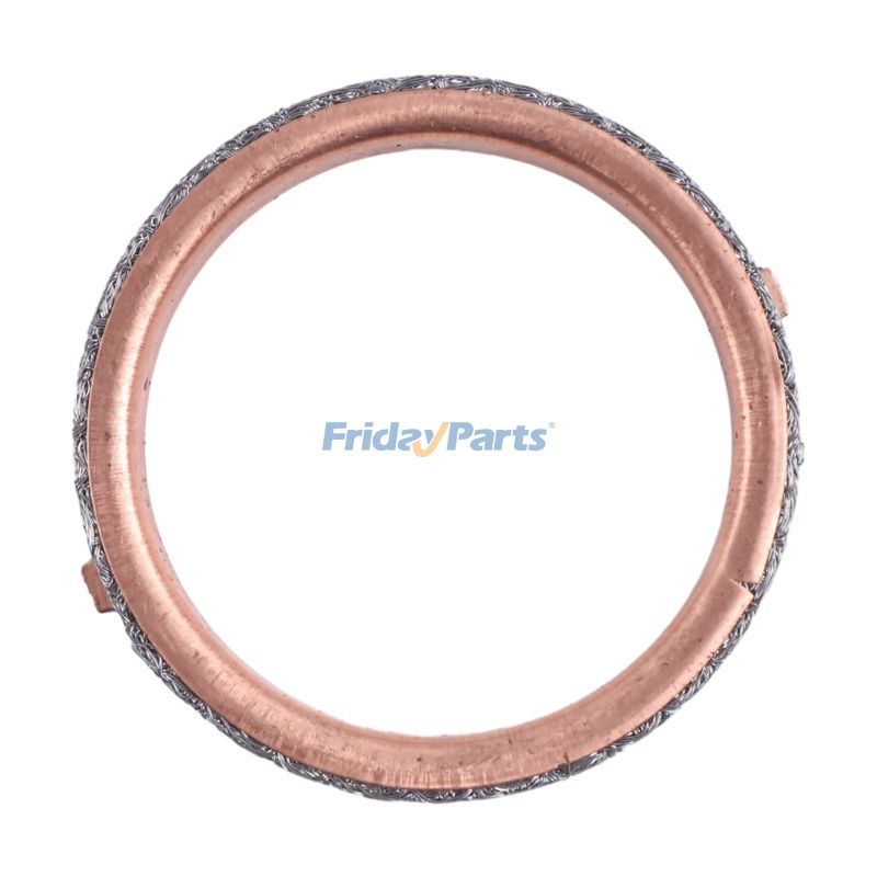 Junta de tubo de escape (2 piezas, 0180-022300) para CFMoto (2013-2016, CFORCE 500, 2011-2014, UFORCE 600, 2012-2015, ZFORCE 600, CF600-3) para ATV/UTV,Motocicleta