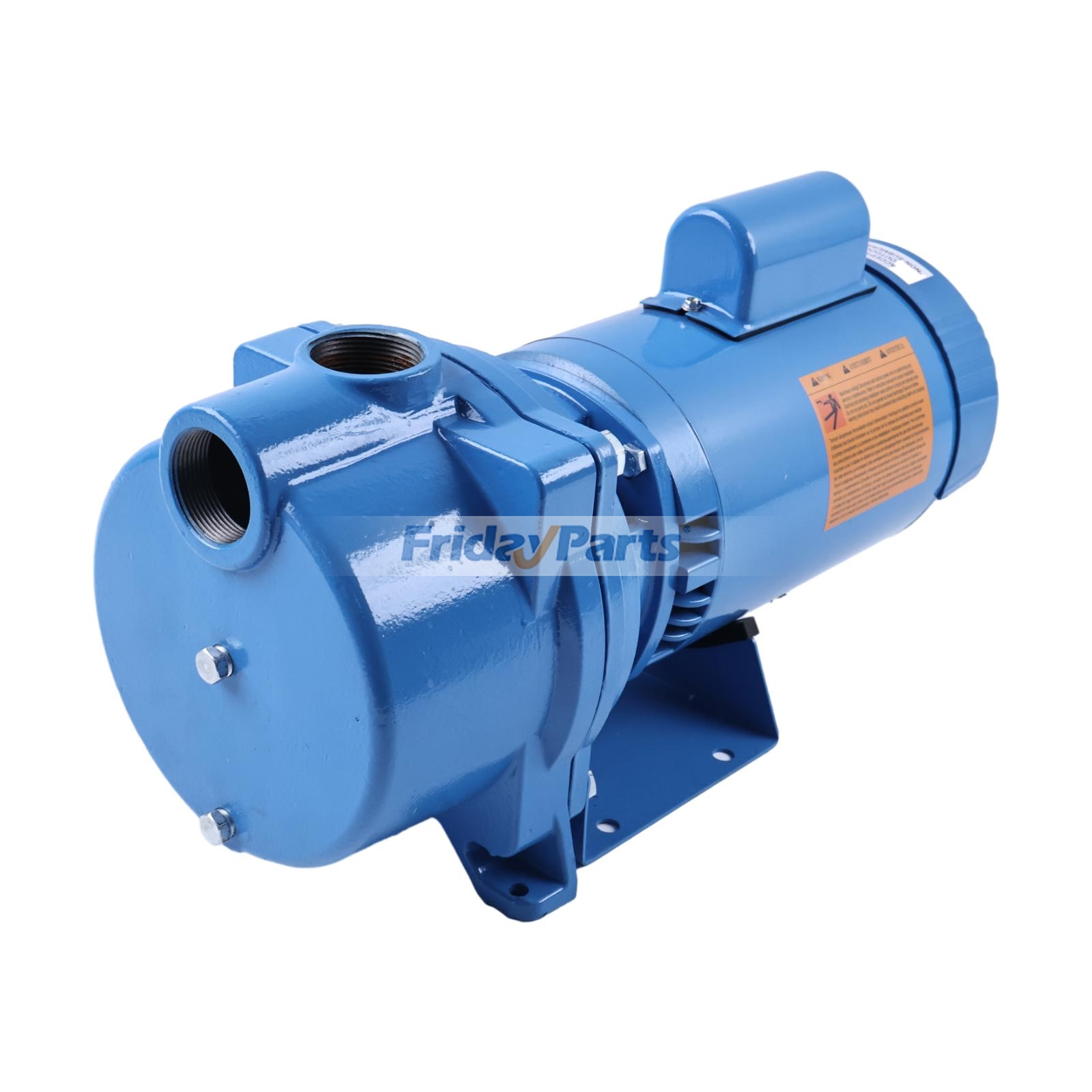 Pompe centrifuge monophasée auto-amorçante 2 CV 230 V pour arrosage automatique de pelouse Goulds, alimentation résidentielle, CVC et transfert d'eau