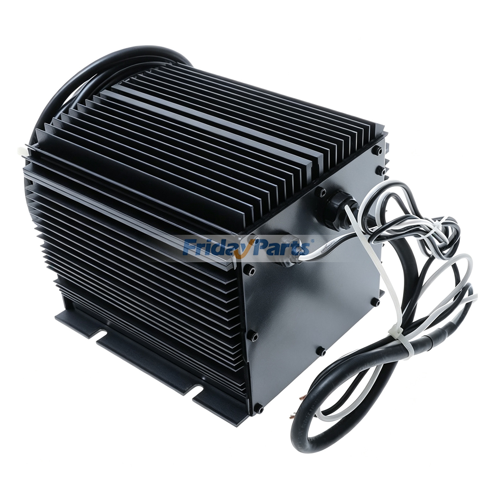 Caricabatterie da 36 V 20 A HBS1000-36 per carrello da golf