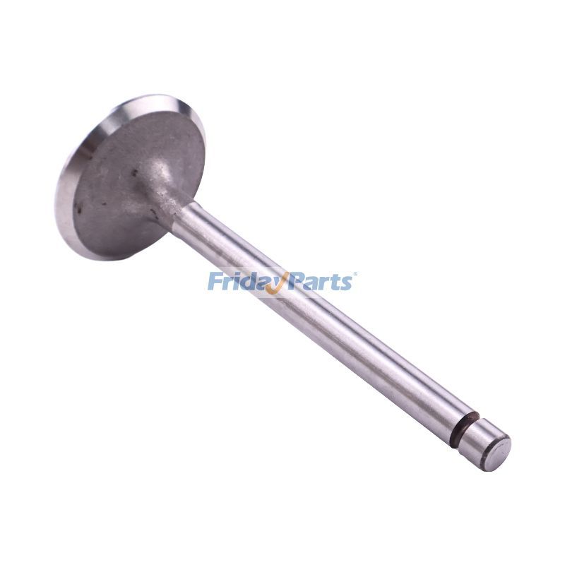 Intake Valve for Engine,Forklift