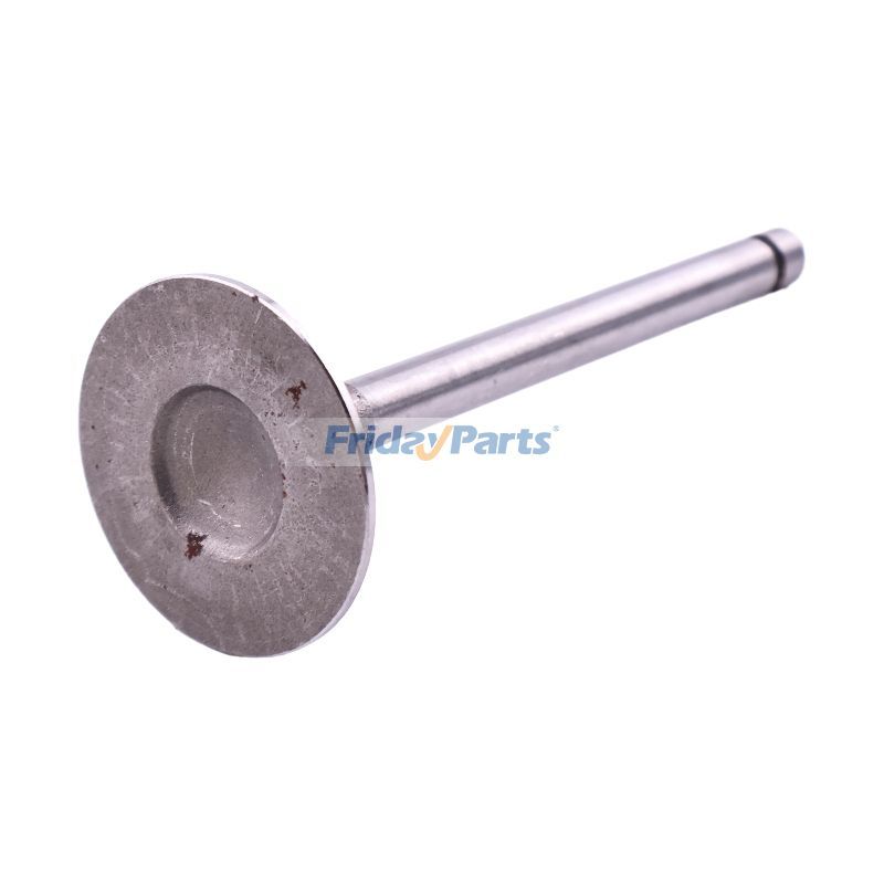 Engine,Forklift Intake Valve