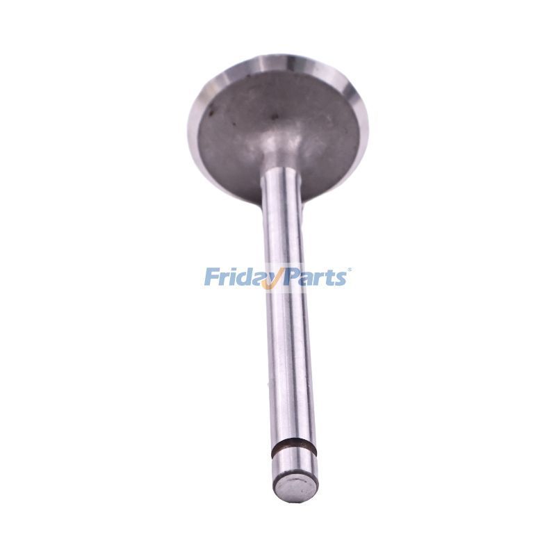 Intake Valve in Stock in China,USA,China Stock
