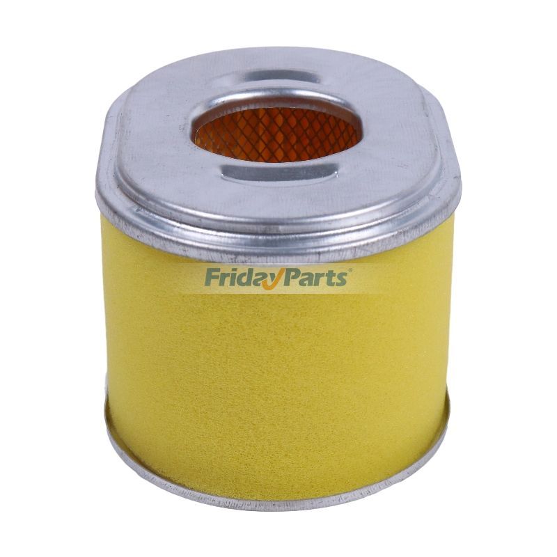 Engine Air Filter