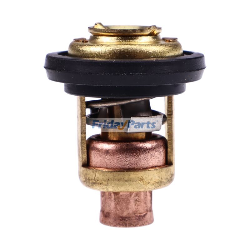 Thermostatpour Moteur