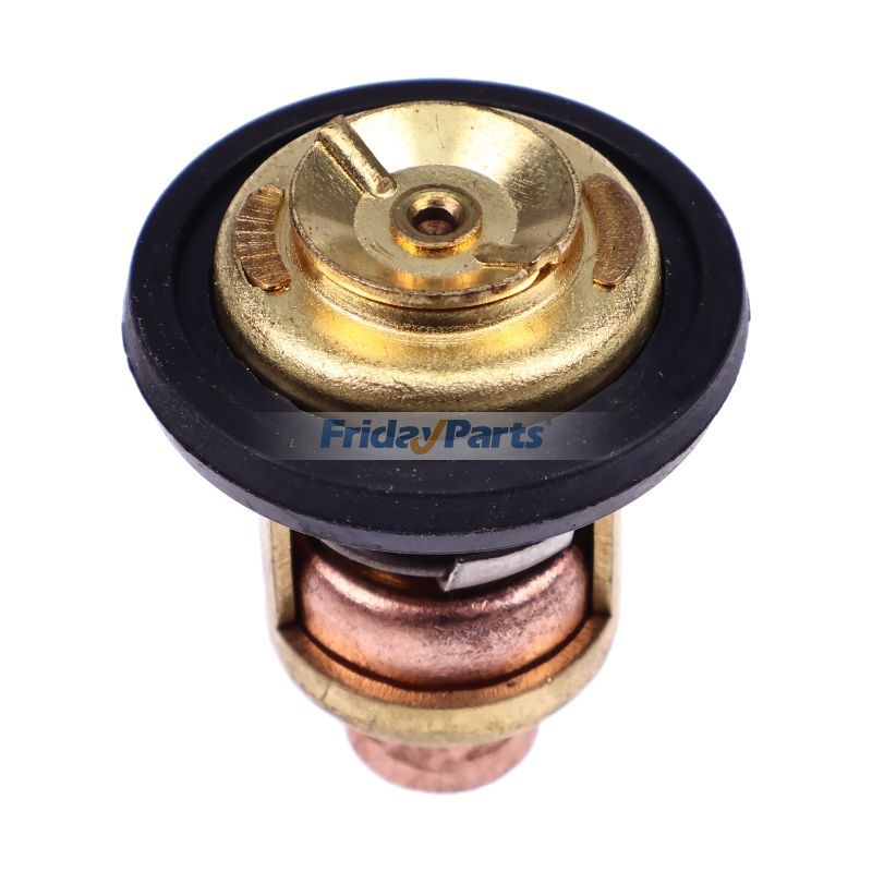 Thermostat pour Moteur 
