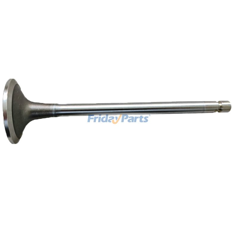 Einlassventil 5307875 für Cummins-Motor 6C8.3 ISL8.9 L8.9 L8.9L121 L9.5L117 QSL9