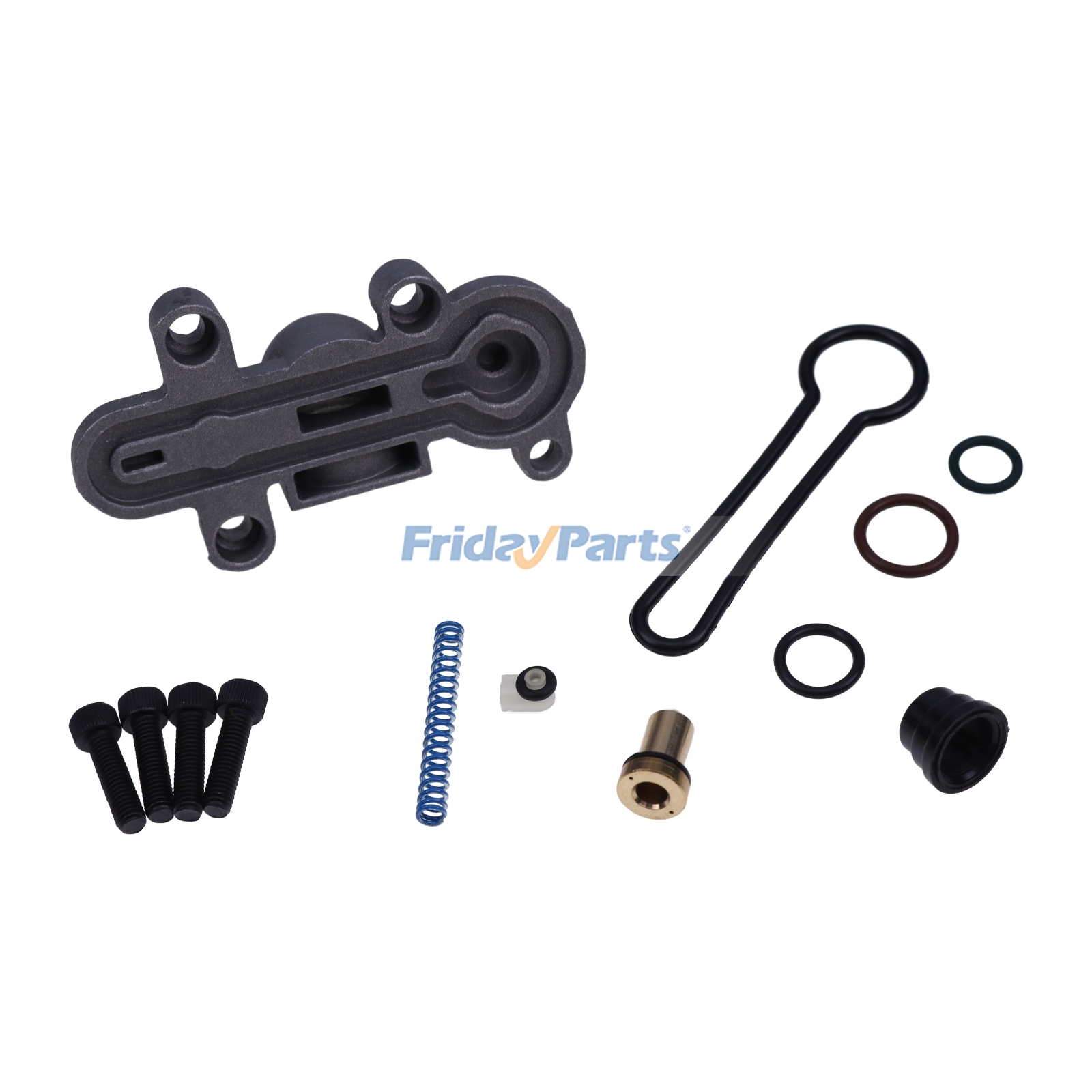Blue Spring Kit Fuel Pressure Regulator Kit for Engine