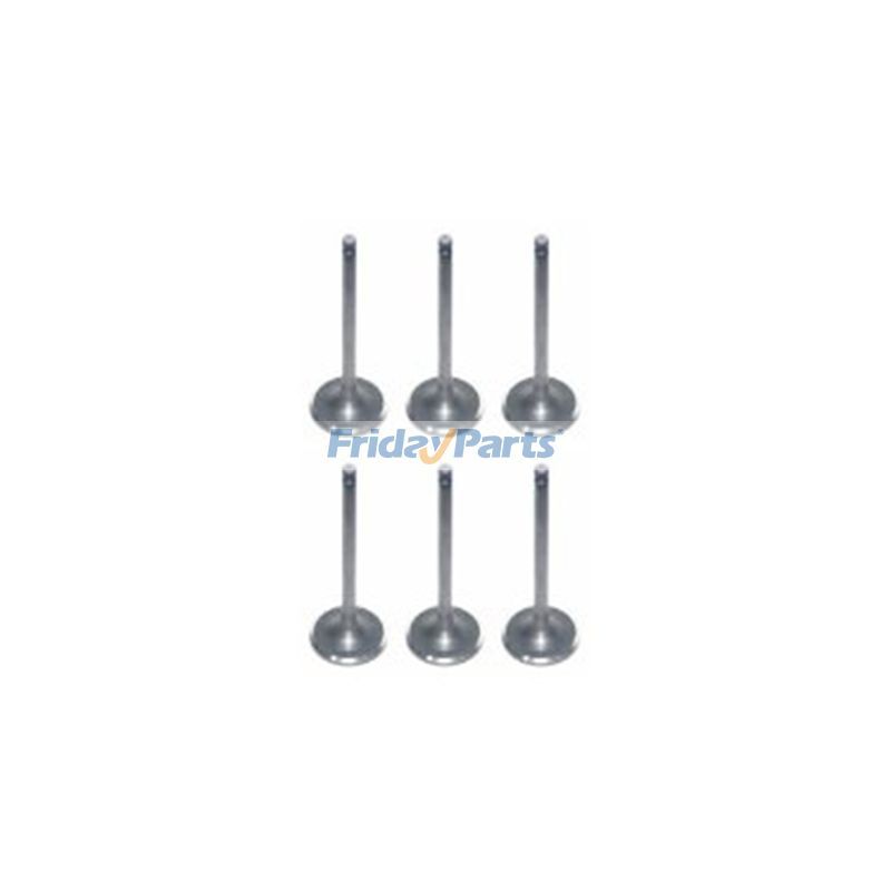 6 Stück Ventileinlass für Cummins 4B 6B 4BT 6BT Motor in den USA