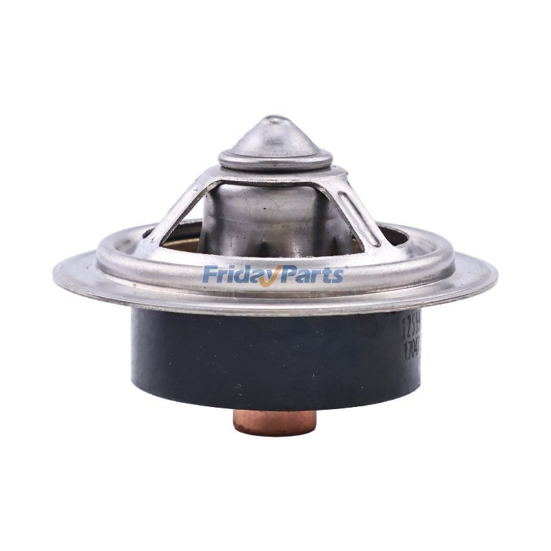 FridayParts Thermostat