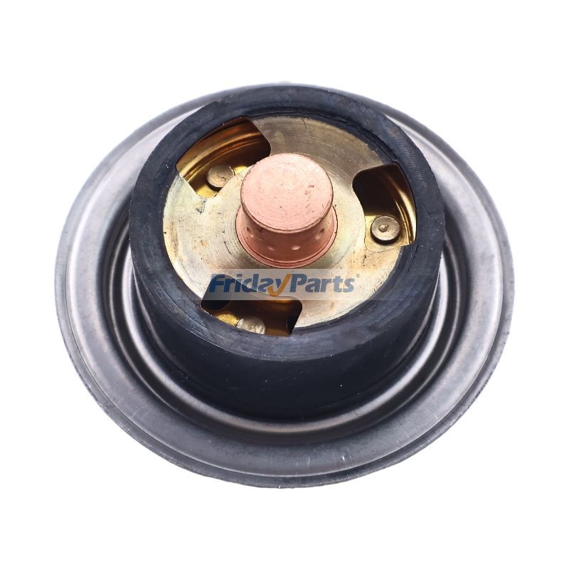 Thermostatfür Fahrzeug