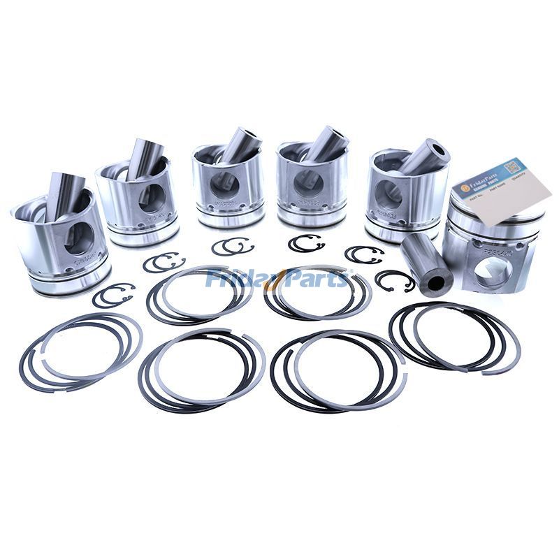Piston Kit 3051556 191970 for Cummins Engine NT855